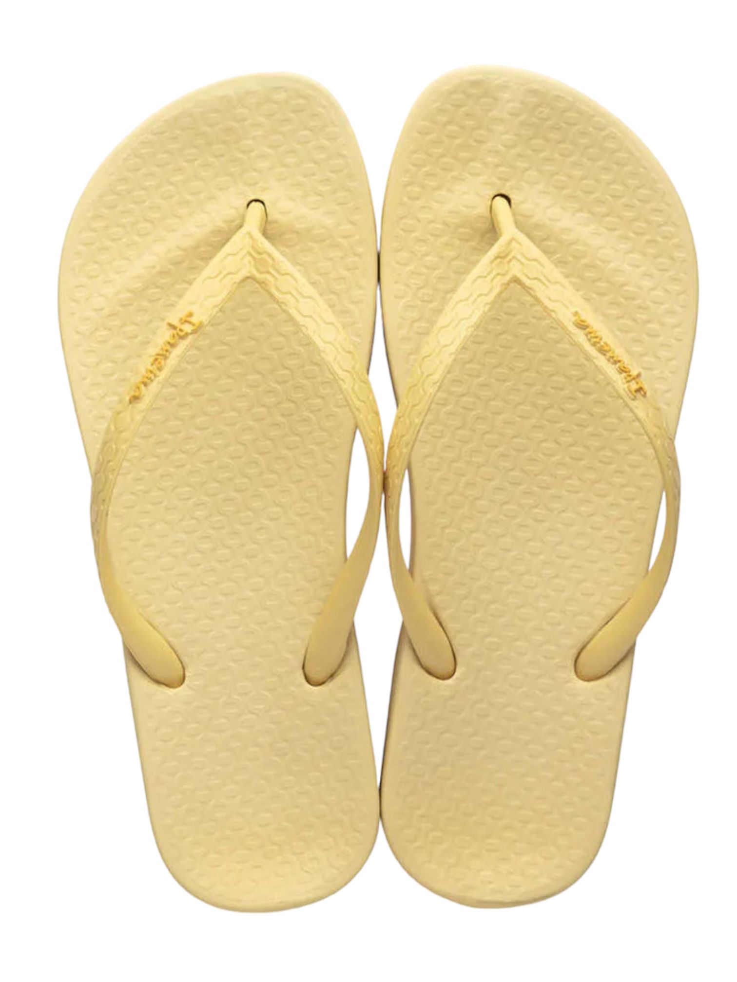 CHANCLA IPANEMA ANATOMICA TAN FEM COLORS