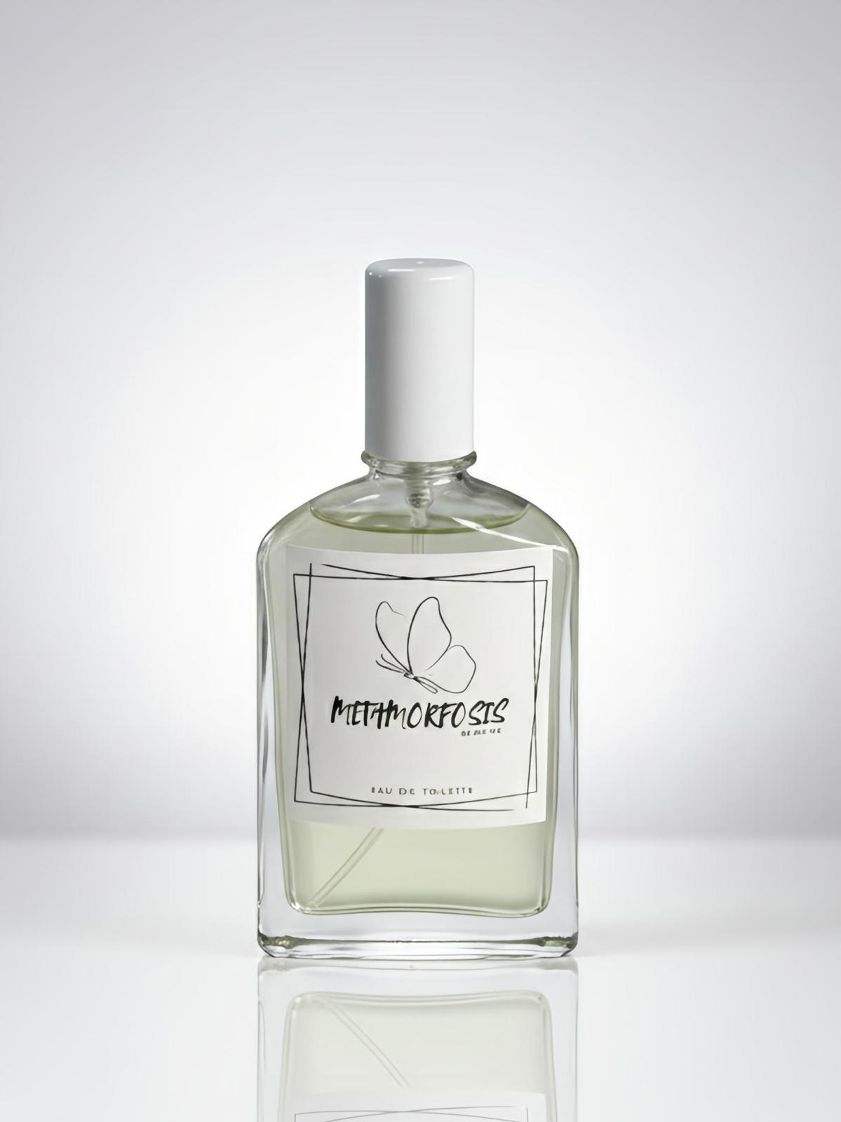 COLONIA METAMORFOSIS